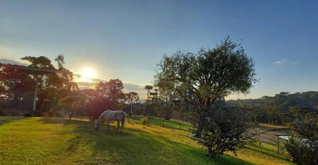 Pousada Recanto Das Araucarias Bocaina do Sul