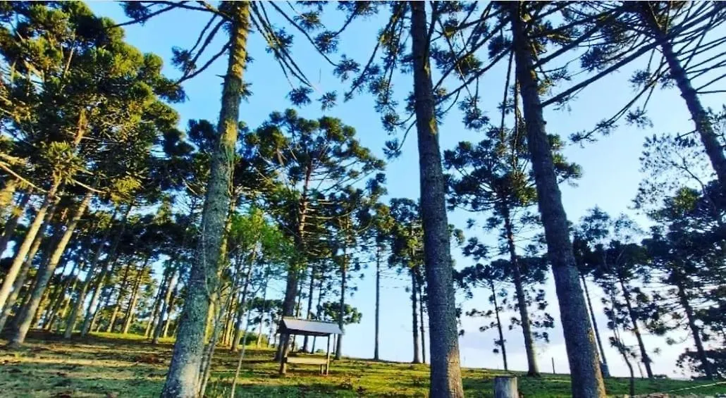 게스트하우스 Pousada Recanto Das Araucarias Bocaina do Sul