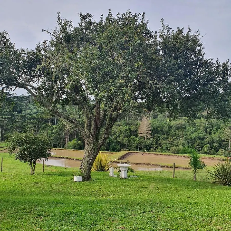 Pousada Recanto Das Araucarias Bocaina do Sul 0*,  브라질