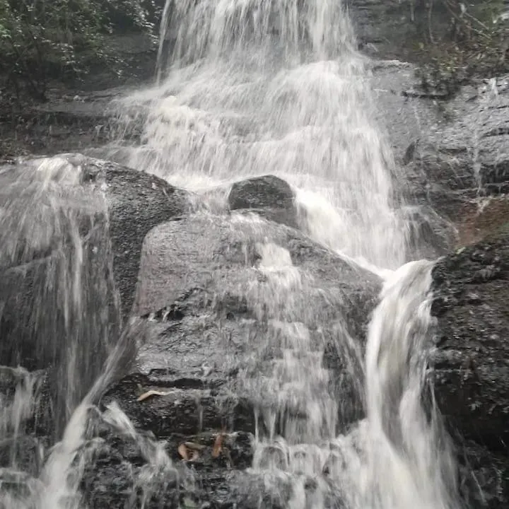 Pousada Recanto Das Araucarias Bocaina do Sul 0*,
